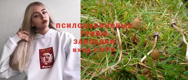 твердый Белоозёрский