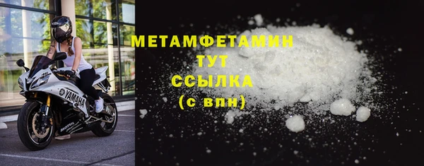 гидра Богданович