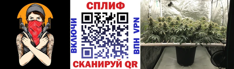 купить Вельск Бошки марихуана VHQ